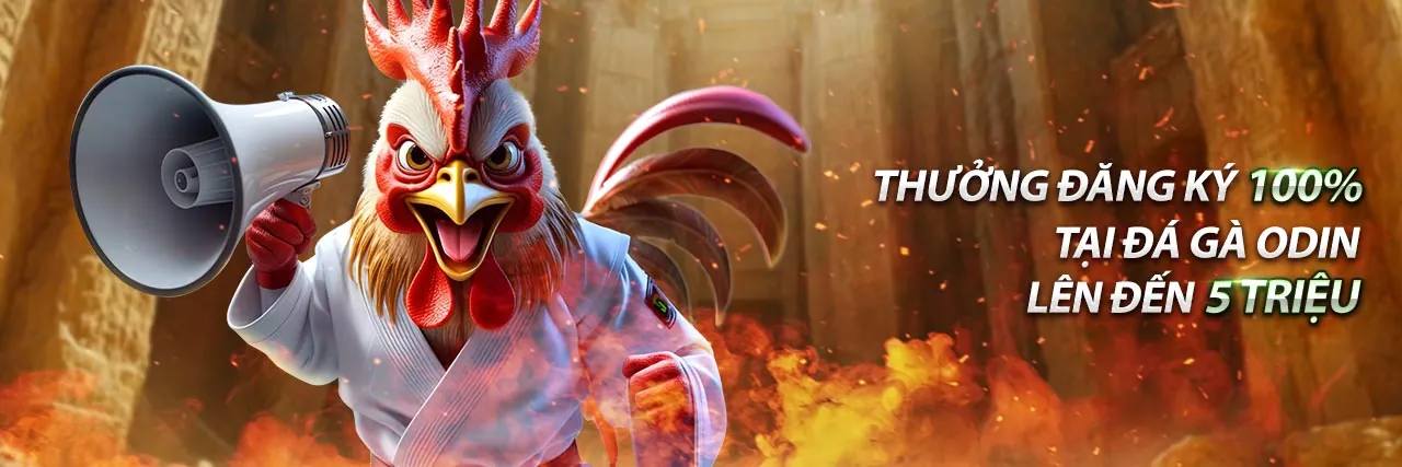 Hình ảnh tổng quan về Ứng dụng 789pet và phần hỗ trợ khách hàng